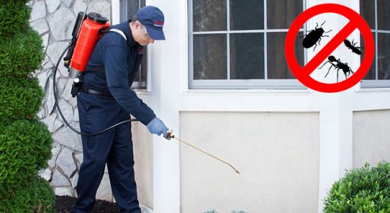 Beytüşşebap Kene İlaçlama böcek ilaçlama ve haşere kontrolü — ilaclama-tr.com